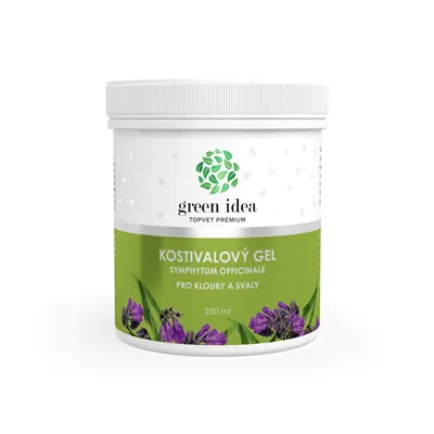 Green idea Kostihojový masážny gél - pri bolestiach kĺbov 250 ml